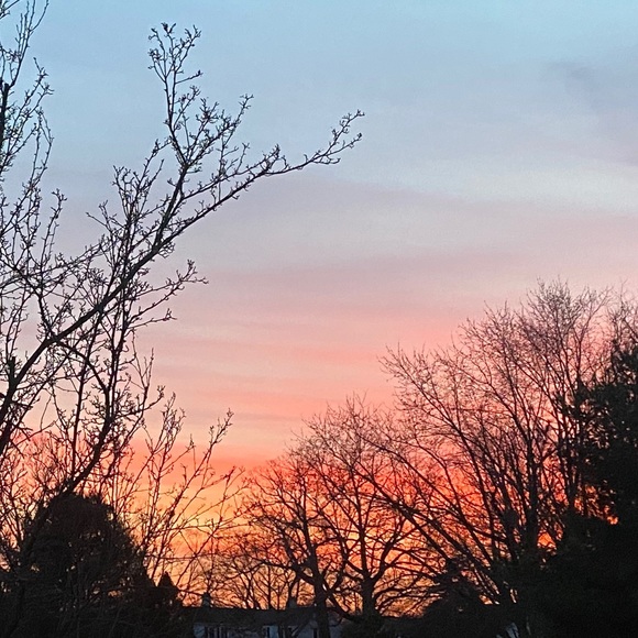 Meet your Posher, Kat - Picture 1 of 1